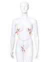 The 9&#039;s Orange is the New Black Triple Your Pleasure Clamps &amp; Chain