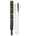 Spartacus Collar &amp; Leash - Brown Leather w/Gold Accent Hardware