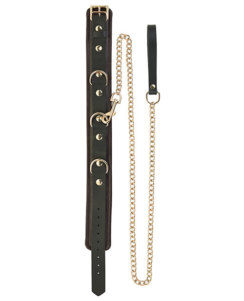 Spartacus Collar &amp; Leash - Brown Leather w/Gold Accent Hardware