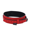 Sex &amp; Mischief Amor Collar and Leash
