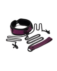 WhipSmart Dragon&#039;s Lair Collar, Leash &amp; Nipple Clips Set