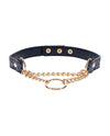 Cougar Day Collar