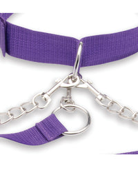 Lux Fetish Collar Cuffs & Leash Set - Removable Purple