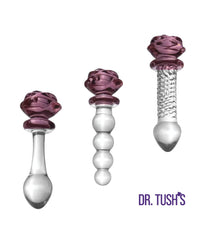 Dr. Tush's Sacred Glass Rose Collection Anal Plug Set - Glass