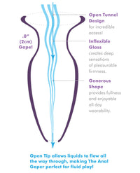 Anal Fantasy Elite Collection Beginners Anal Glass Gaper - Clear